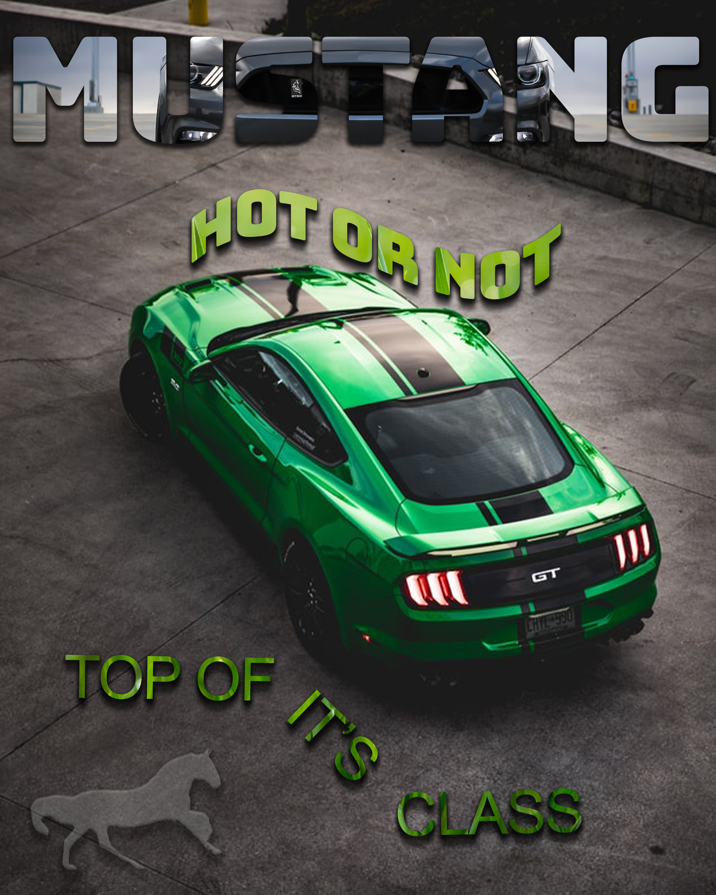 Mustang